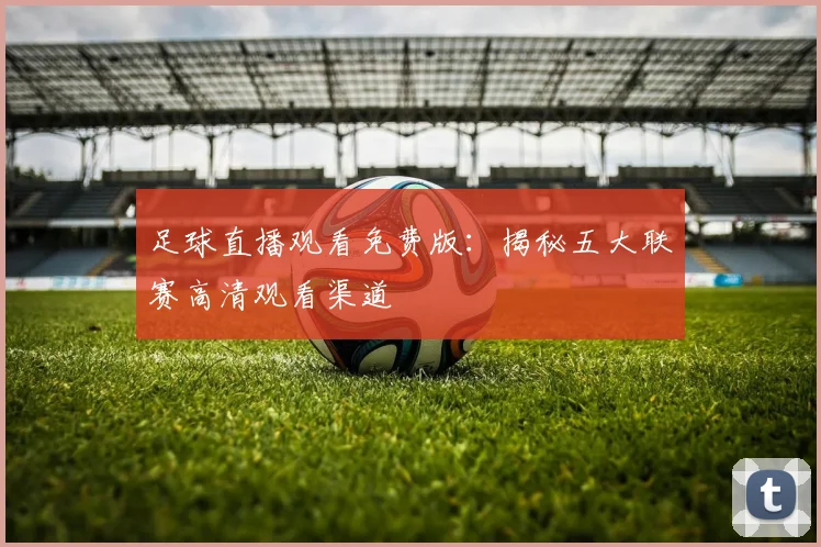 足球直播观看免费版：揭秘五大联赛高清观看渠道