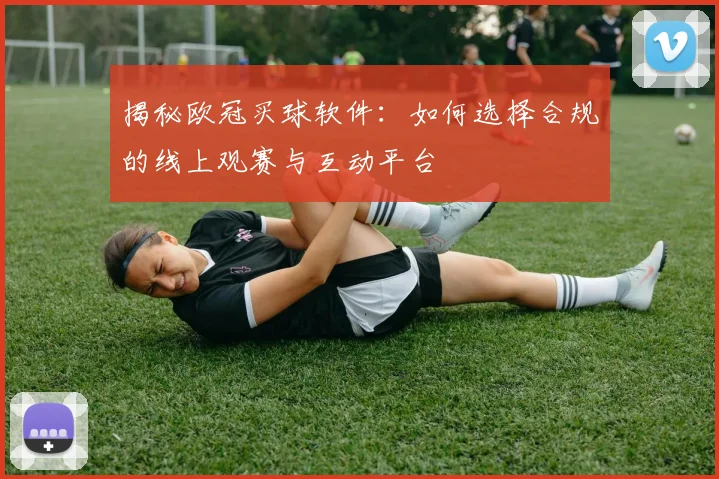 揭秘欧冠买球软件：如何选择合规的线上观赛与互动平台